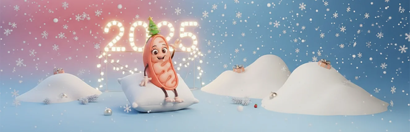 Results of the year with Vilavi